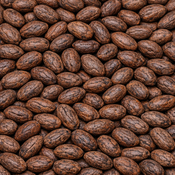 Cacao Fino  Fermentado 78h