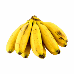 Plátano Dominico V1